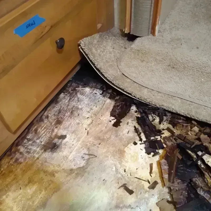 Wood Floor Water Damage in Brevard County, FL